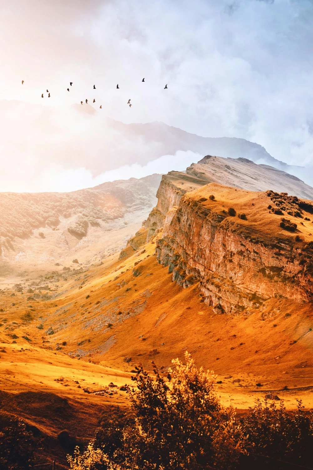 bg_img_home_homenew_block2-5_jz